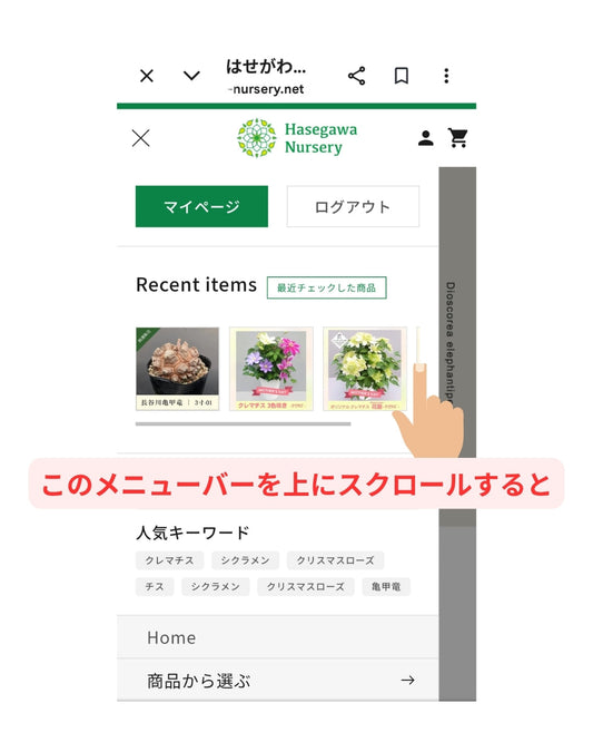 お目当ての亀甲竜の探し方  -スマートフォンでの操作方法-