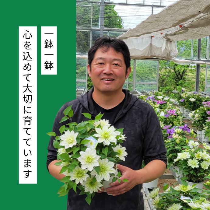 はせがわナーセリー